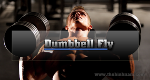 Dumbbell-Fly