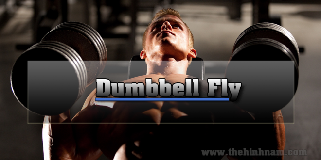 Dumbbell-Fly
