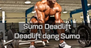 Sumo-Deadlift