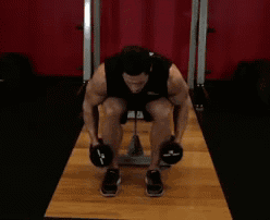 bai-tap-tay-cho-nam-Seated-Bent-Over-Rear-Delt-Raise
