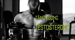 tang-cuong-testosterone