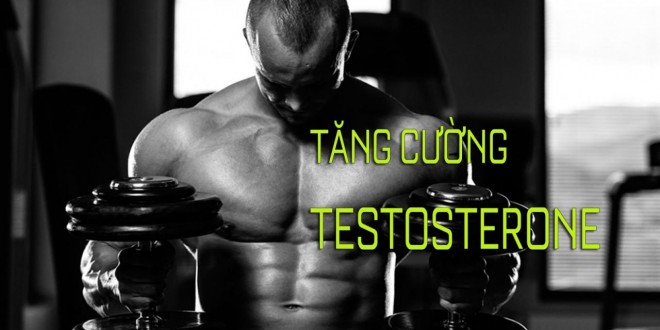 tang-cuong-testosterone