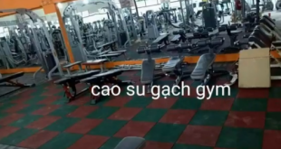 aaa 1 310x165 - Cao su gạch phòng gym 0964486875
