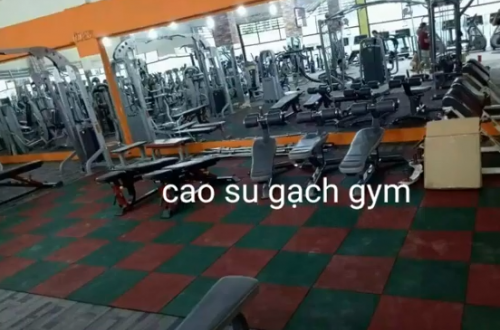 aaa 1 500x330 - Cao su gạch phòng gym 0964486875
