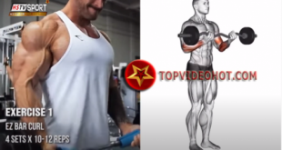 26 310x165 - những bài tập bắp tay hiệu quả cho dân gym