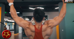 30 310x165 - buổi tập full cơ thể