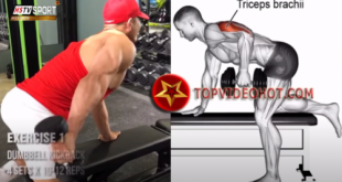 32 310x165 - bài tập tay tốt nhất cho dân gym