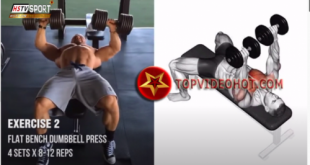 41 310x165 - bài tập phát triển cơ ngực tốt nhất cho dân gym