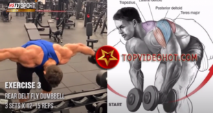 44 310x165 - bài tập vai cho dân gym #1