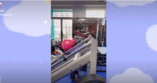 22 310x165 - setup homegym cho khách ở nhà tập trong mùa dịch - 0903579486