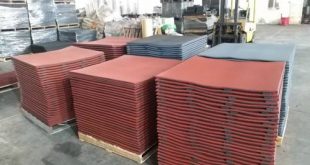 z2948609585222 ea0ae38e3485571656120f619f87629b 1 1 310x165 - cao su gạch quận 9