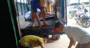 z2948609672476 5154fa99a022b63271b21451c3dd9a51 1 1 310x165 - cao su gạch xuất khẩu